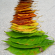 Image for article titled The chemicals that cause leaves to change color in fall